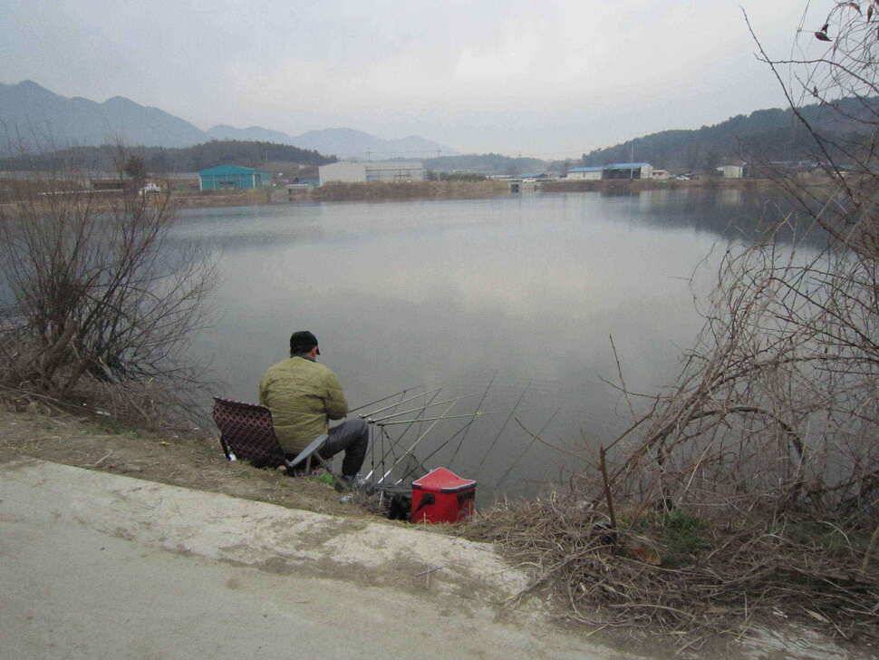 영천ic낚시 조황입니다 (조황조행기 - 낚시점조황)