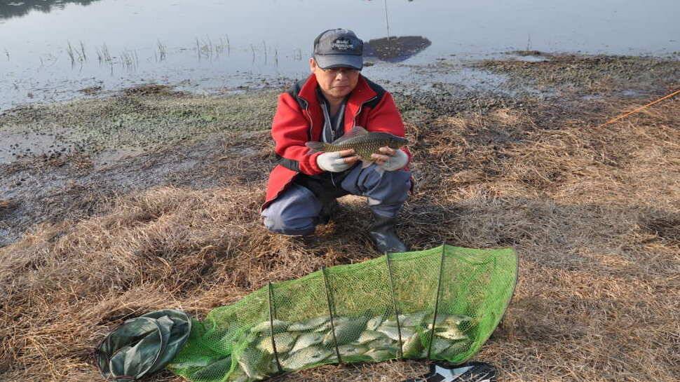 창녕권 주말 4짜 마릿수 (조황조행기 - 낚시점조황)