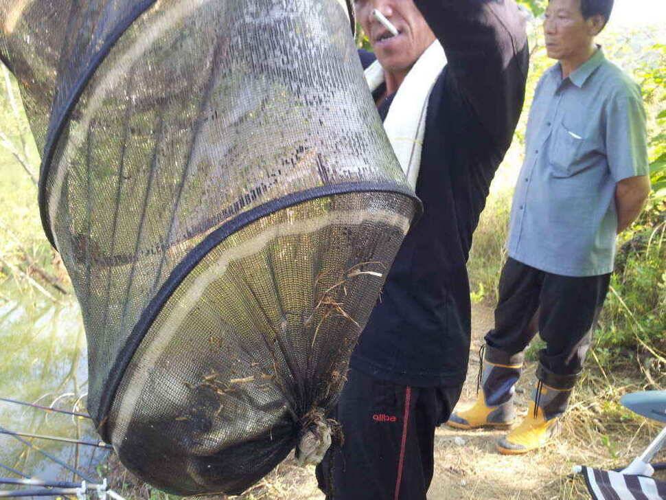 청도권조황입니다9치이상만 간추려 올려봅니다 (조황조행기 - 낚시점조황)