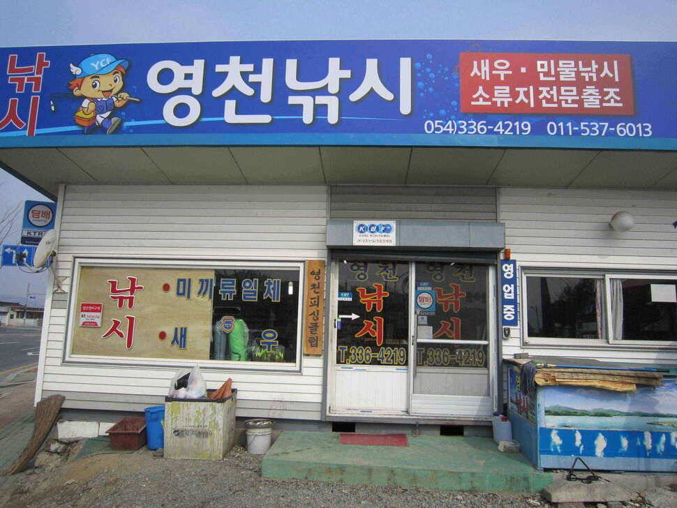 영천권 조황이 조금씩 살아나고 있습니다 (조황조행기 - 낚시점조황)