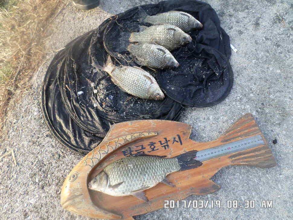 충주 탄금호 낚시조황 (조황조행기 - 낚시점조황)