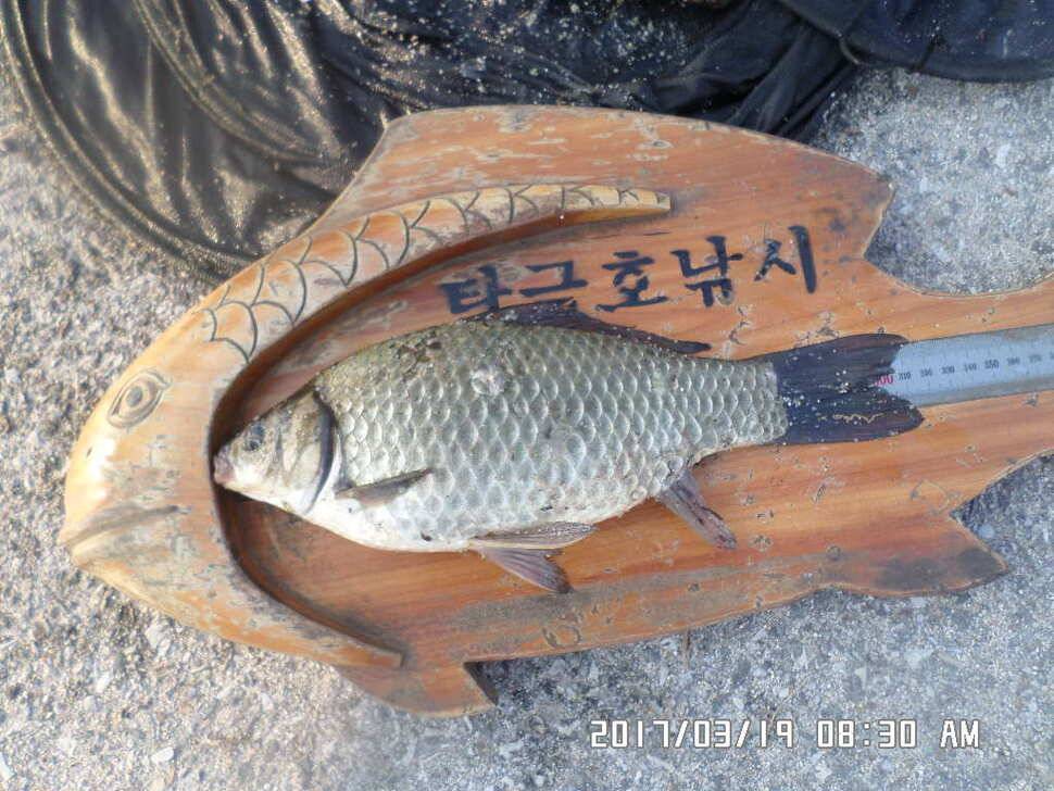 충주 탄금호 낚시조황 (조황조행기 - 낚시점조황)