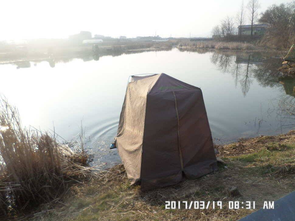 충주 탄금호 낚시조황 (조황조행기 - 낚시점조황)