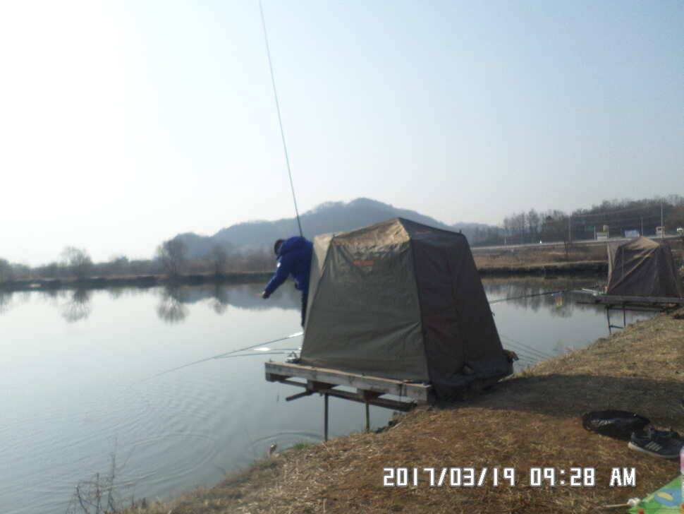 충주 탄금호 낚시조황 (조황조행기 - 낚시점조황)