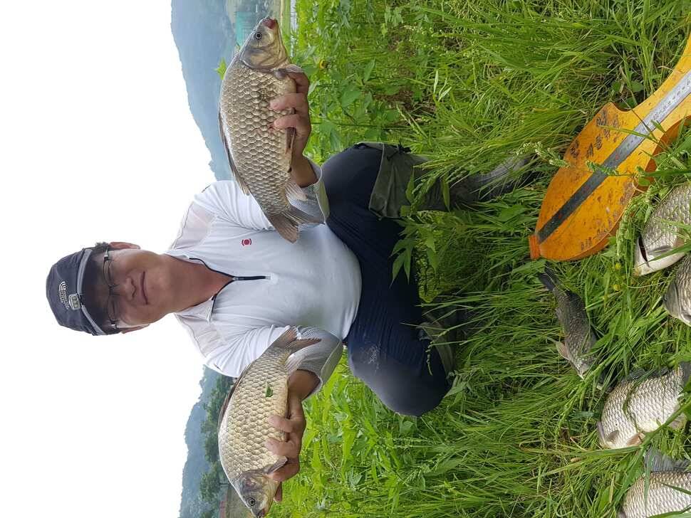 단양호 조황입니다 (조황조행기 - 낚시점조황)