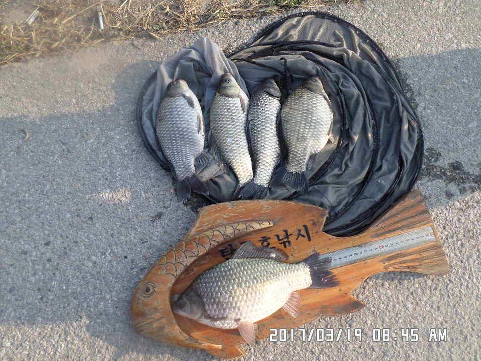충주 탄금호 낚시조황 (조황조행기 - 낚시점조황)