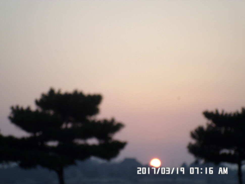 충주 탄금호 낚시조황 (조황조행기 - 낚시점조황)