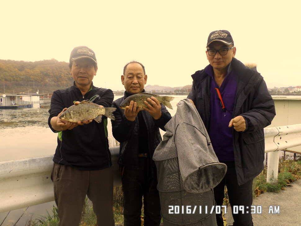 충주 탄금호 낚시조황 (조황조행기 - 낚시점조황)