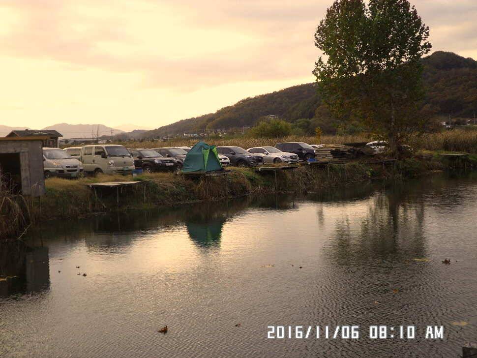 충주 탄금호 낚시조황 (조황조행기 - 낚시점조황)