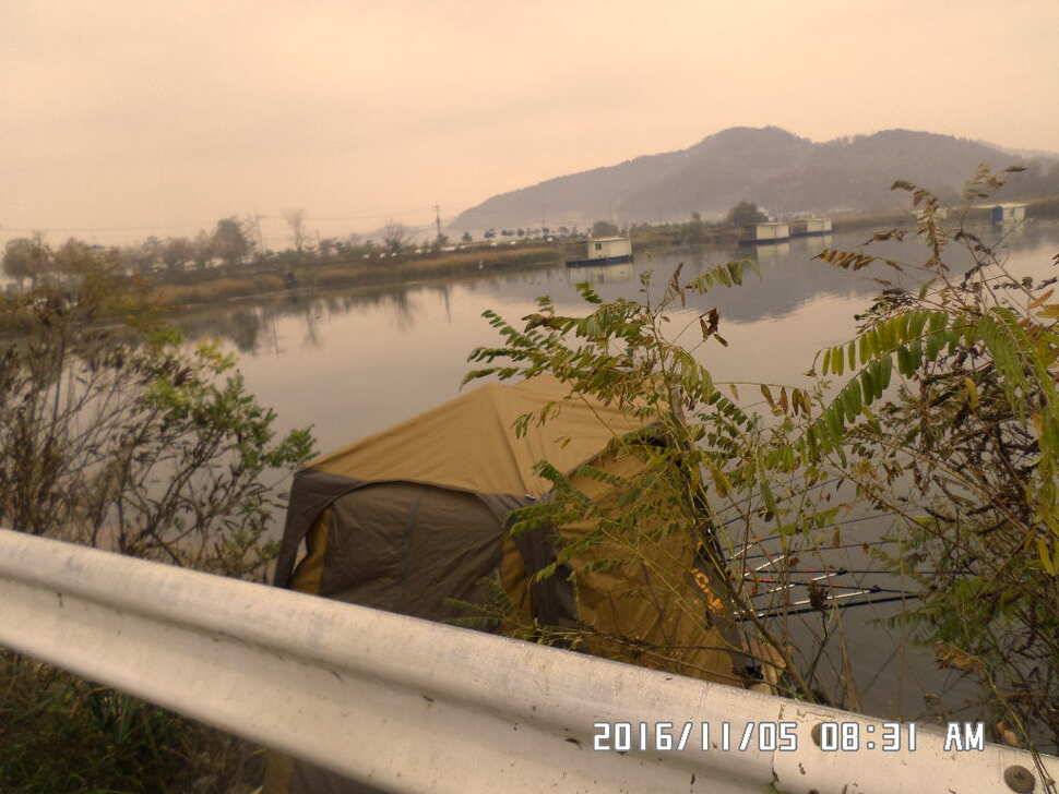 충주 탄금호 낚시조황 (조황조행기 - 낚시점조황)