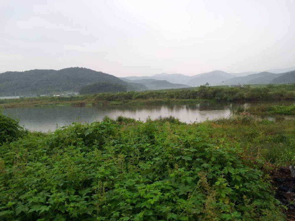 청도권4자 두마리는 이어 집니다 (조황조행기 - 낚시점조황)