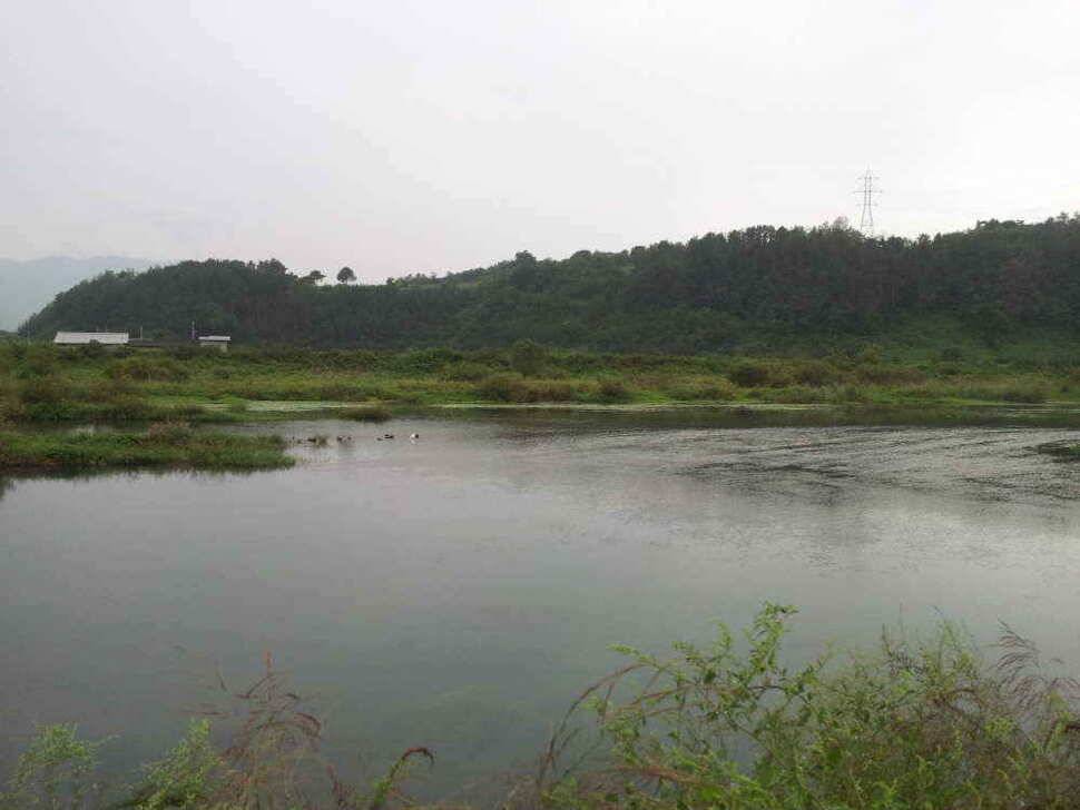 청도권4자 두마리는 이어 집니다 (조황조행기 - 낚시점조황)