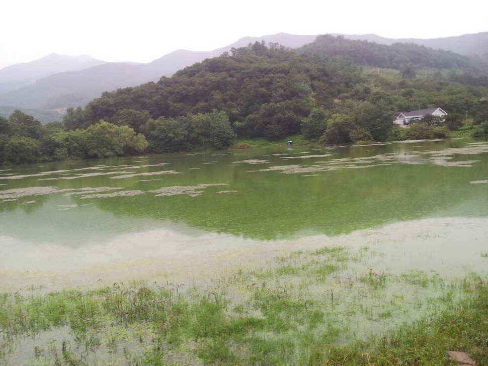 청도권4자 두마리는 이어 집니다 (조황조행기 - 낚시점조황)