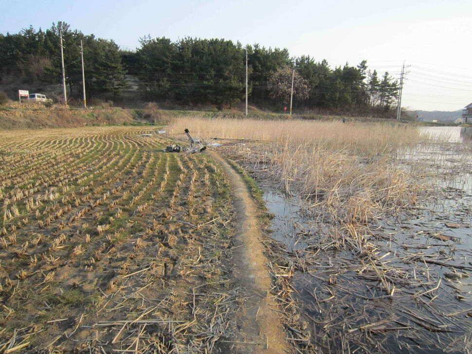 영천ic권 조황정보입니다 (조황조행기 - 낚시점조황)