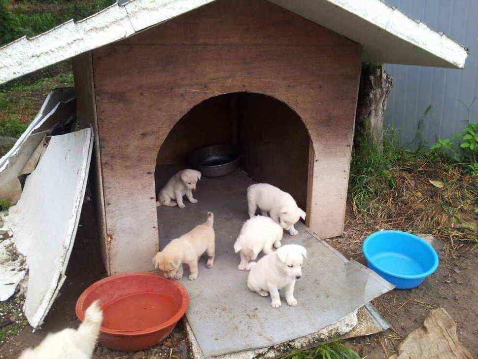 청도권4자 두마리는 이어 집니다 (조황조행기 - 낚시점조황)