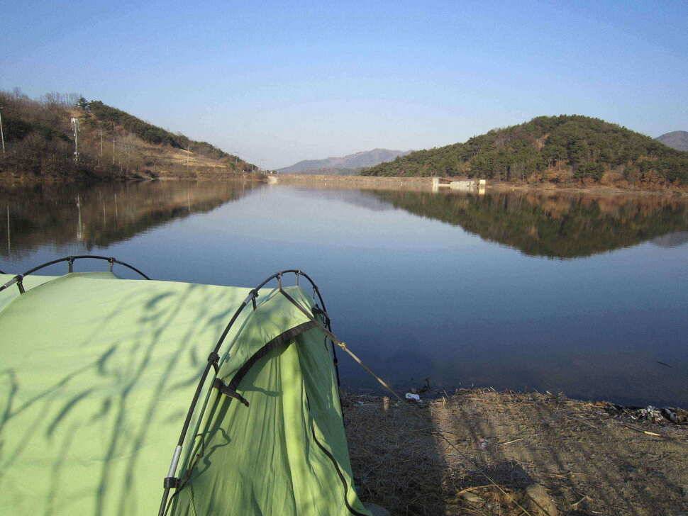 영천ic낚시 조황입니다 (조황조행기 - 낚시점조황)