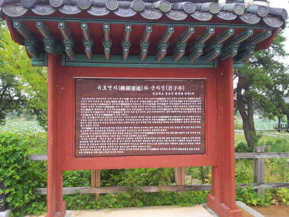 청도권4자 두마리는 이어 집니다 (조황조행기 - 낚시점조황)