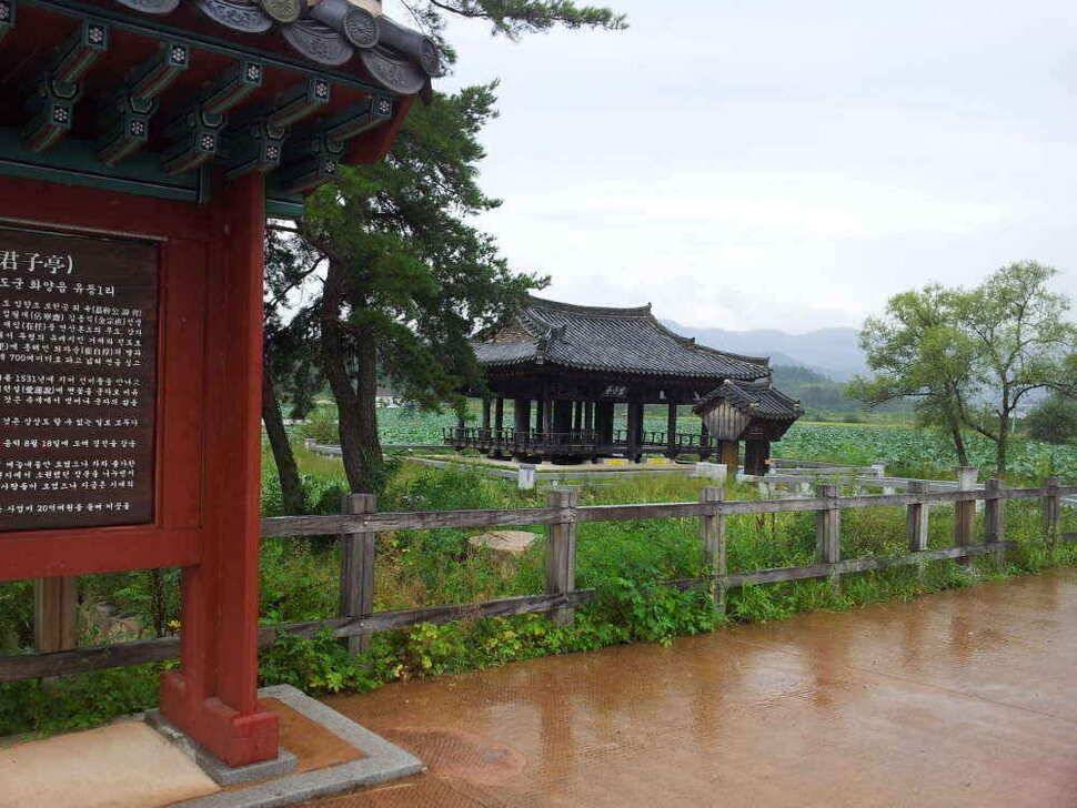 청도권4자 두마리는 이어 집니다 (조황조행기 - 낚시점조황)