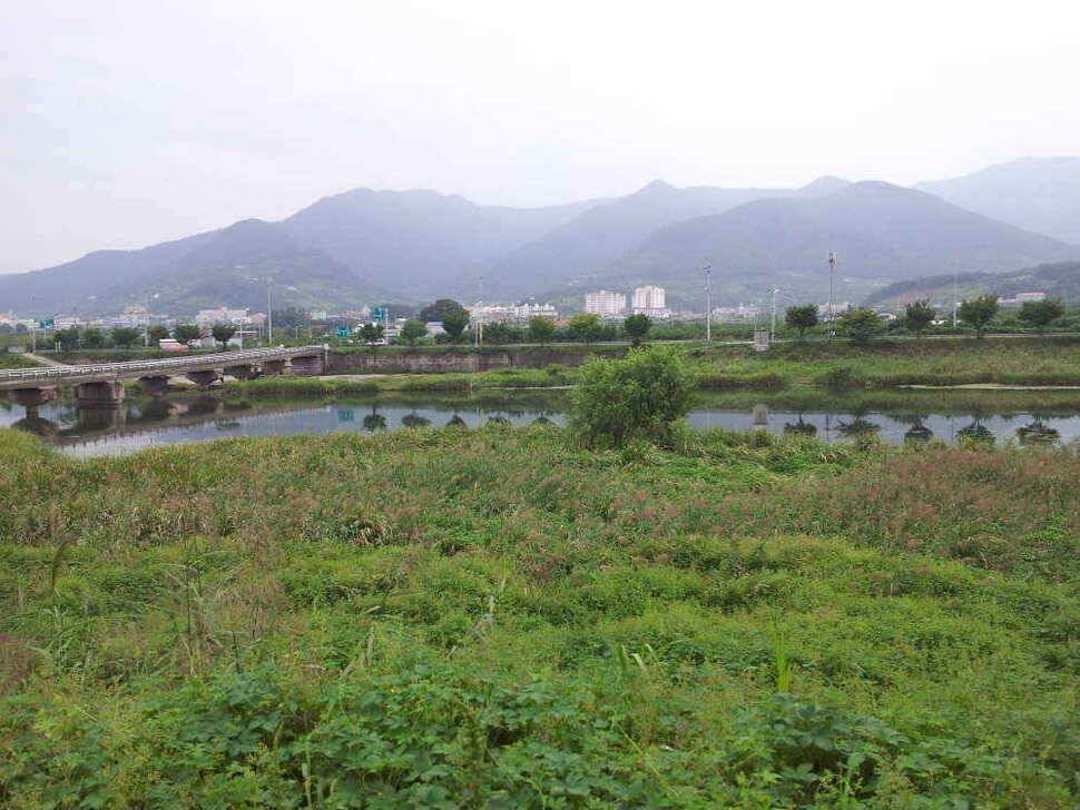 청도권4자 두마리는 이어 집니다 (조황조행기 - 낚시점조황)