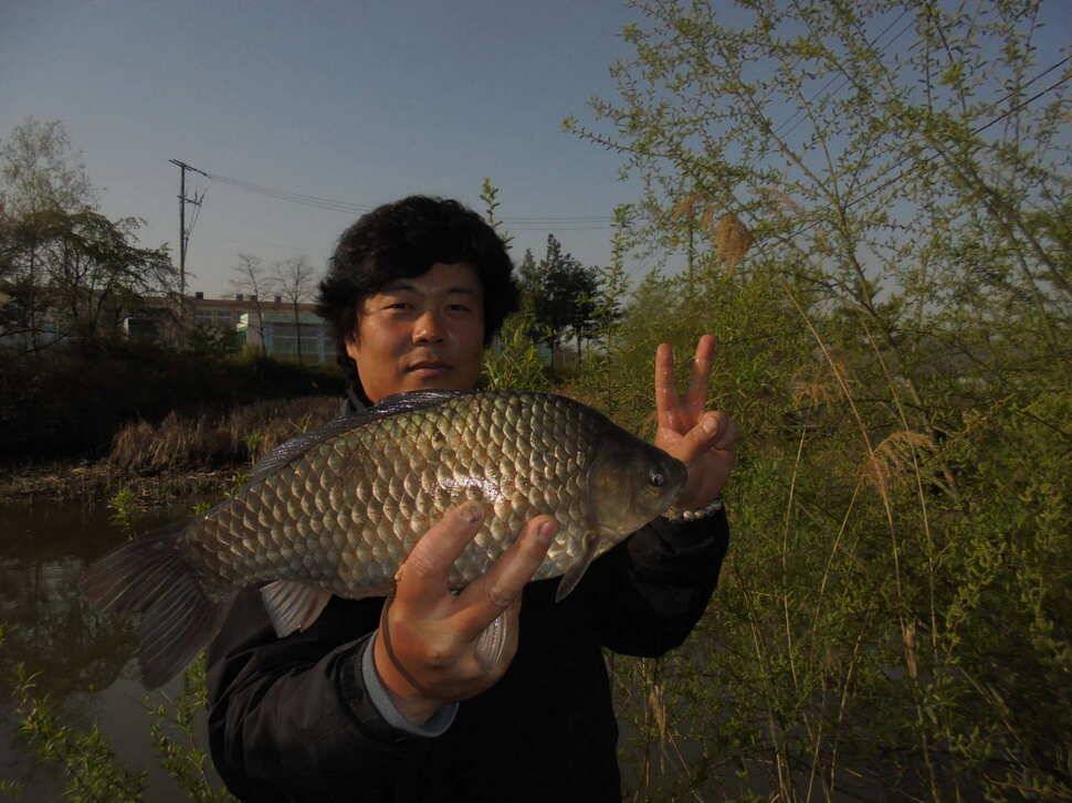 오늘은39cm 내일은ㅎㅎㅎ (조황조행기 - 낚시점조황)