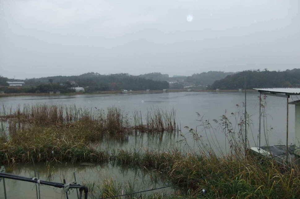 충남 당진 온동지 낚시터 입니다 (조황조행기 - 낚시점조황)