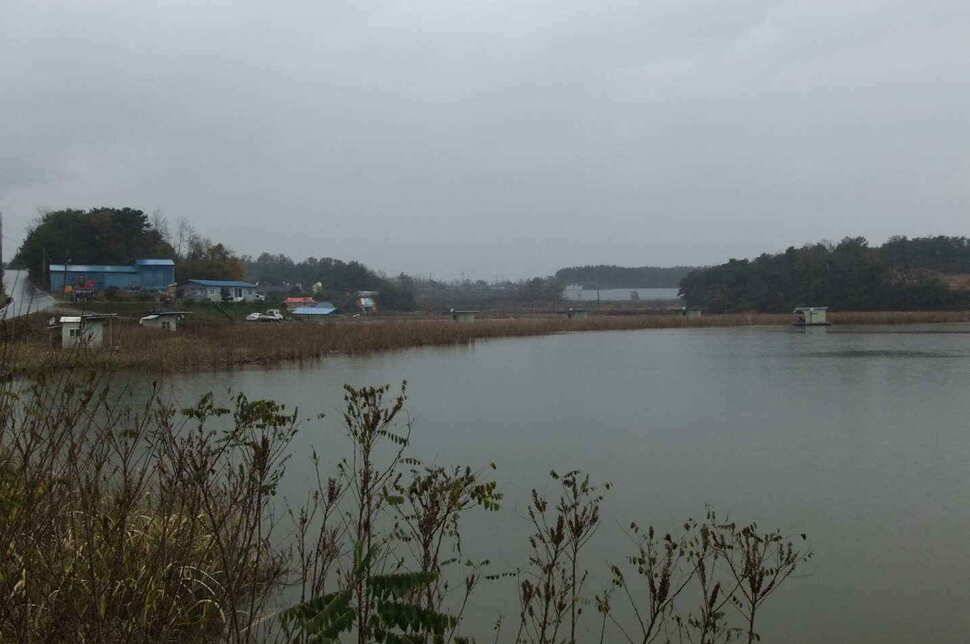 충남 당진 온동지 낚시터 입니다 (조황조행기 - 낚시점조황)