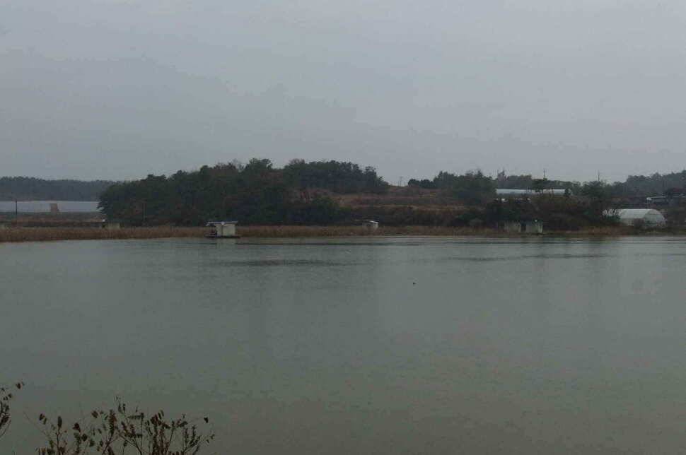 충남 당진 온동지 낚시터 입니다 (조황조행기 - 낚시점조황)