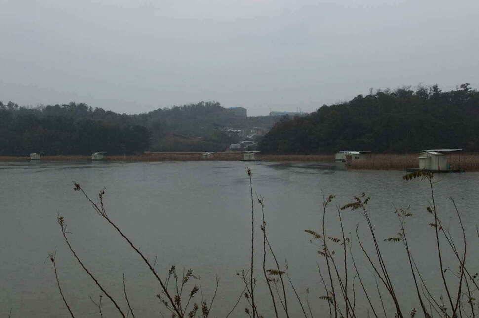 충남 당진 온동지 낚시터 입니다 (조황조행기 - 낚시점조황)