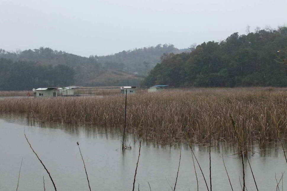 충남 당진 온동지 낚시터 입니다 (조황조행기 - 낚시점조황)