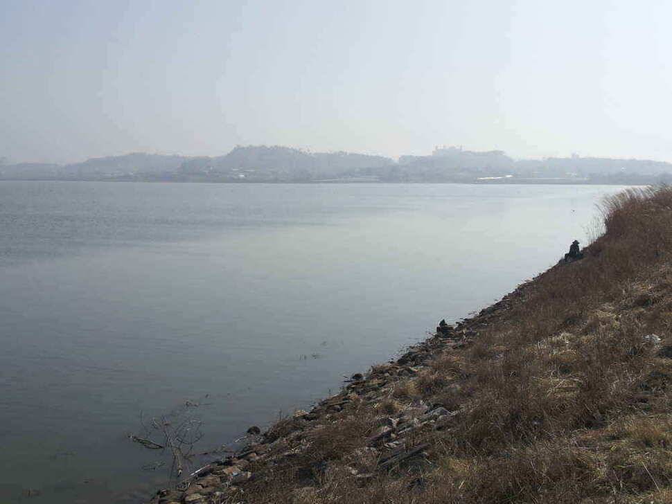 서태안권 스마트조황 출조시 참고하시기 바랍니다 (조황조행기 - 낚시점조황)