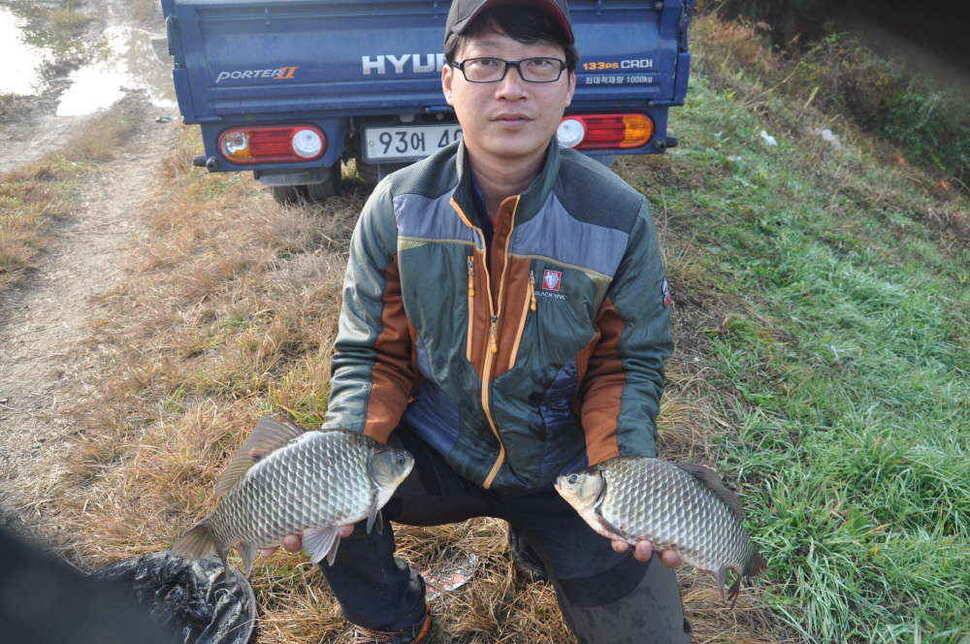 조황조행기 > 낚시점 조황 > 창녕권 4짜 조황 소식