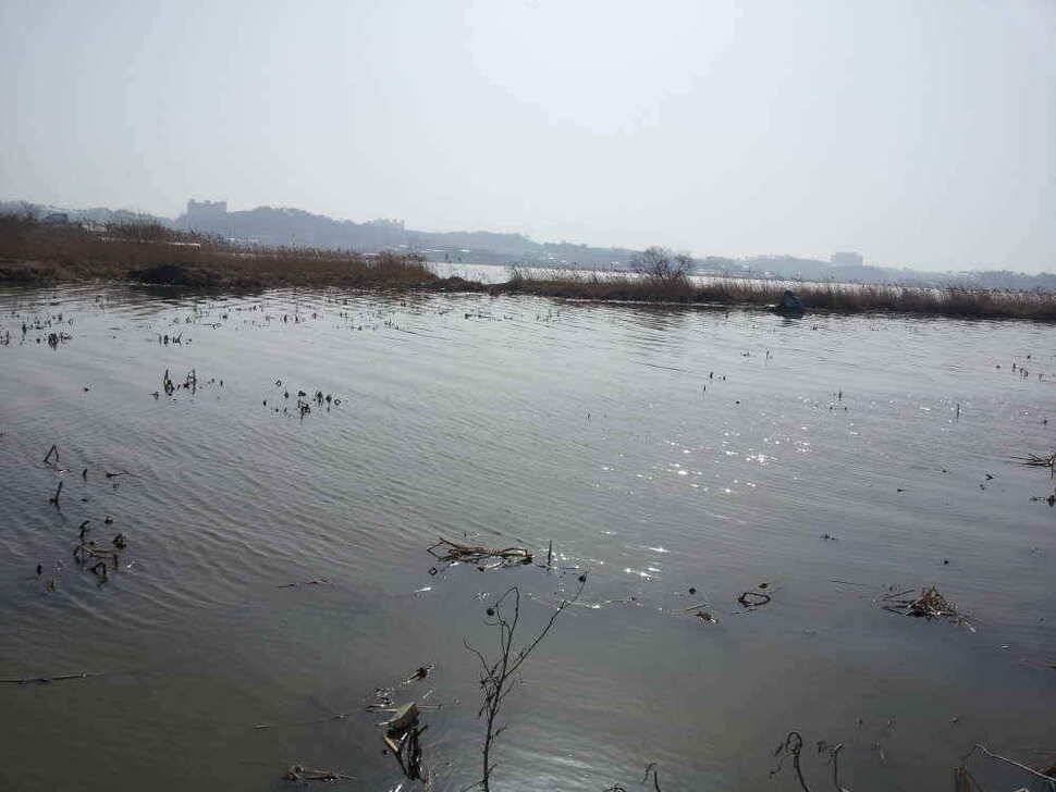 서태안권 스마트조황 출조시 참고하시기 바랍니다 (조황조행기 - 낚시점조황)