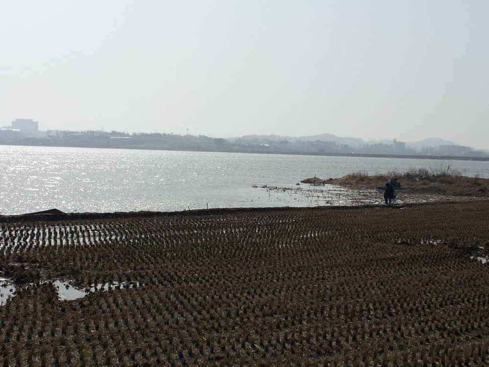 서태안권 스마트조황 출조시 참고하시기 바랍니다 (조황조행기 - 낚시점조황)