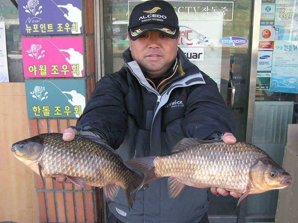 금호강의 대물 (조황조행기 - 낚시점조황)