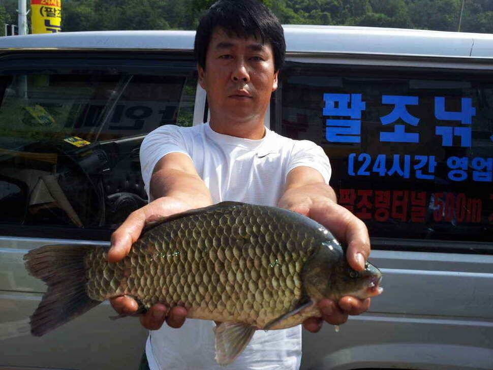 청도권 4자 및 9치이상200수이상의 호조황 (조황조행기 - 낚시점조황)