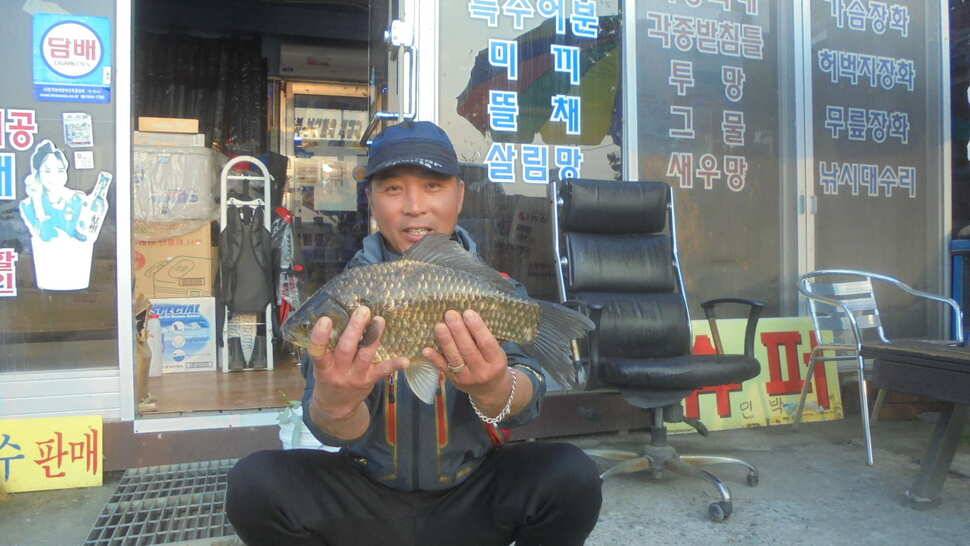 입석및 주변조황 (조황조행기 - 낚시점조황)