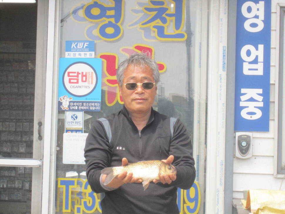영천ic군 조황입니다 (조황조행기 - 낚시점조황)