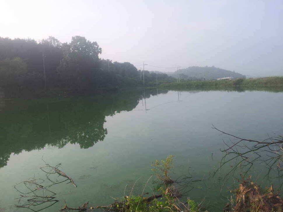 청도권 4자 및 9치이상200수이상의 호조황 (조황조행기 - 낚시점조황)