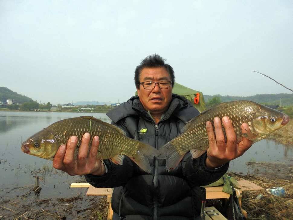 움직이는 대물들 (조황조행기 - 낚시점조황)