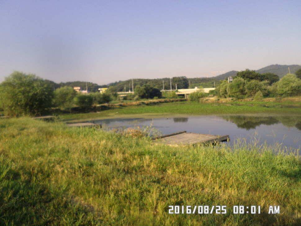 충주 탄금호 낚시조황 (조황조행기 - 낚시점조황)