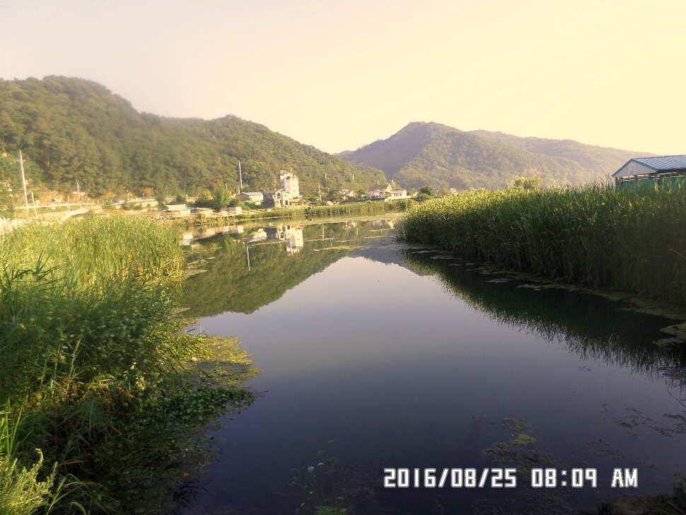 충주 탄금호 낚시조황 (조황조행기 - 낚시점조황)