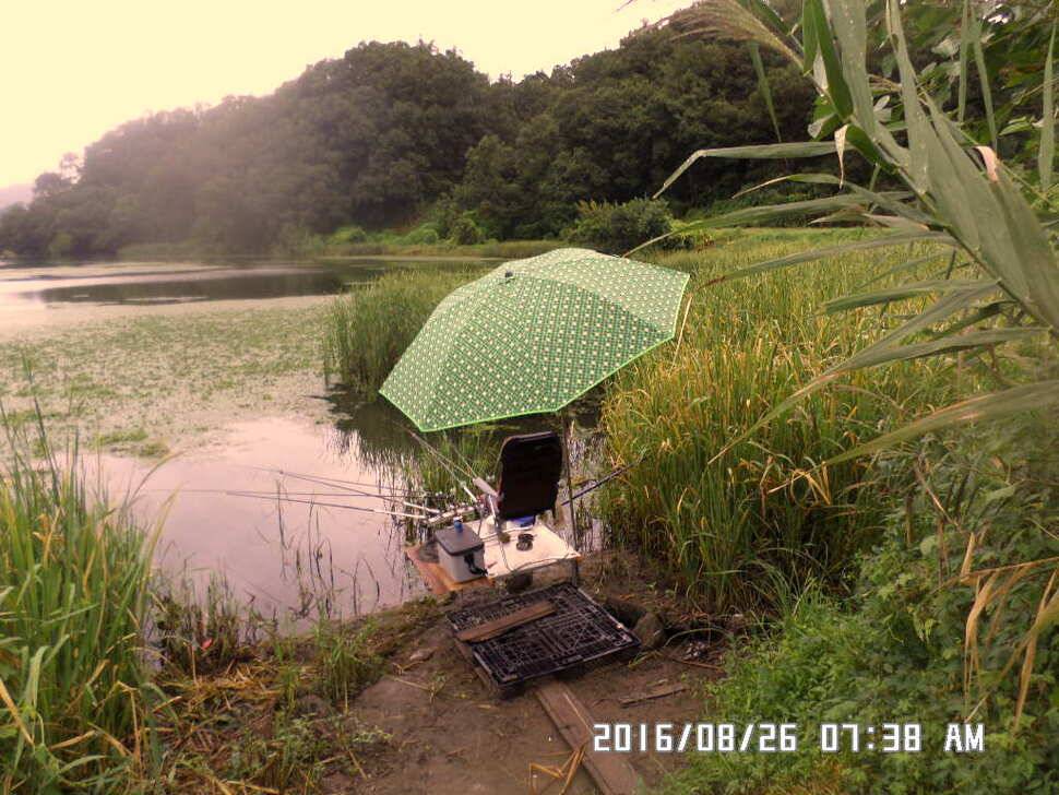 충주 탄금호 낚시조황 (조황조행기 - 낚시점조황)