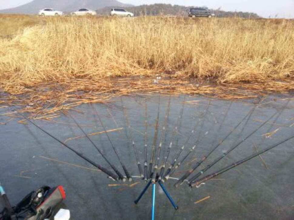 서태안권 얼음낚시 조황정보 (조황조행기 - 낚시점조황)