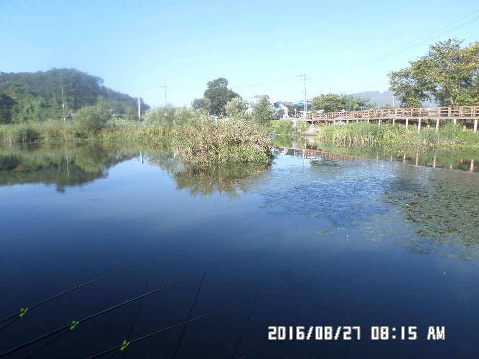 충주 탄금호 낚시조황 (조황조행기 - 낚시점조황)