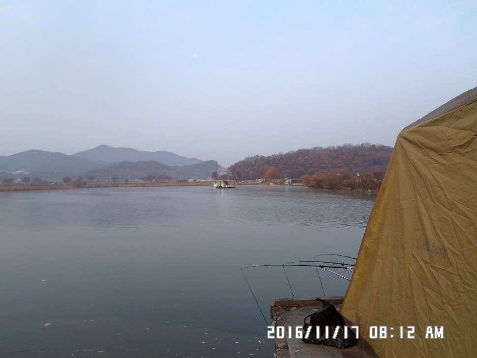 충주 탄금호 낚시조황 (조황조행기 - 낚시점조황)