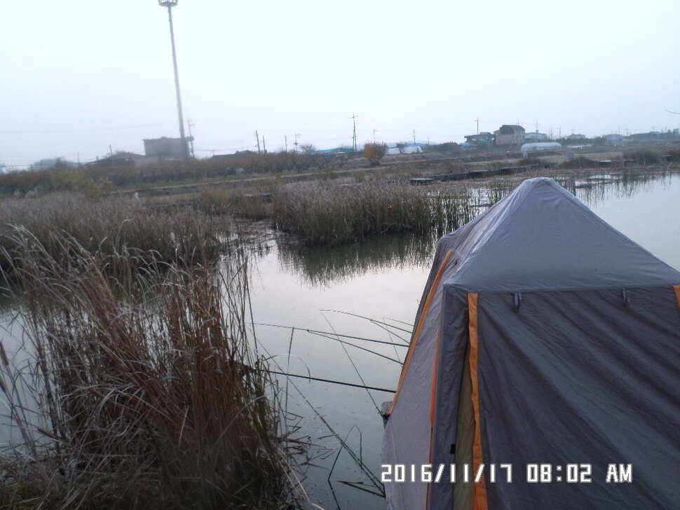 충주 탄금호 낚시조황 (조황조행기 - 낚시점조황)