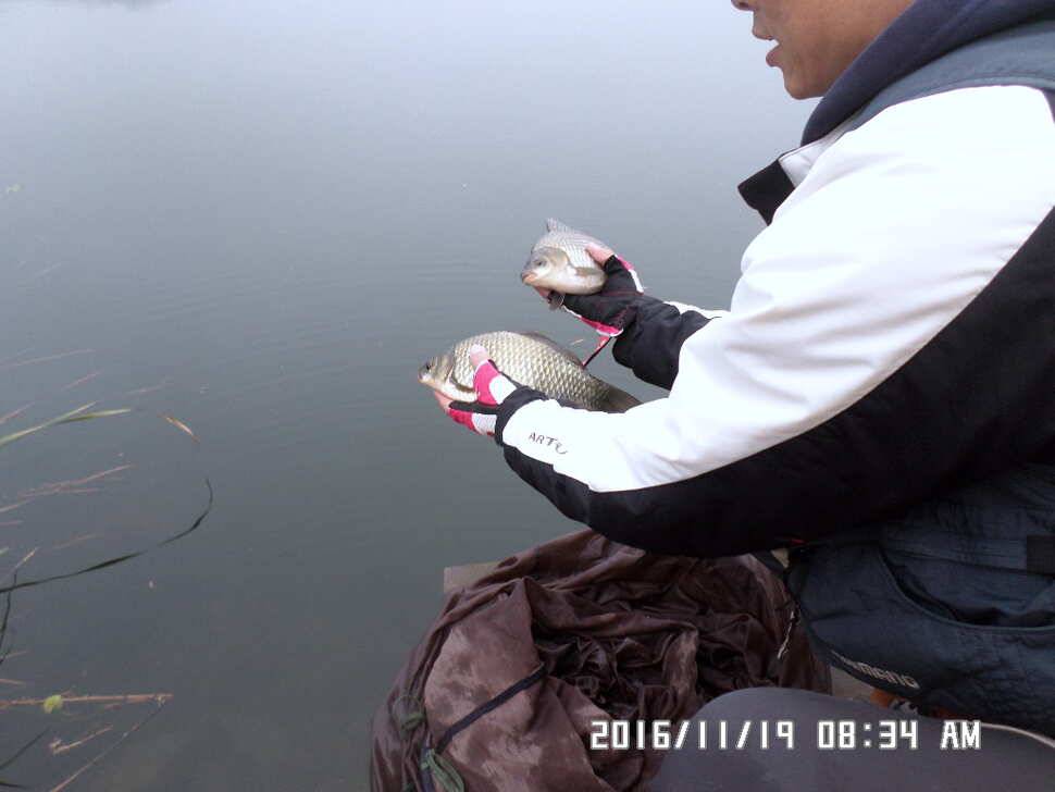 충주 탄금호 낚시조황 (조황조행기 - 낚시점조황)