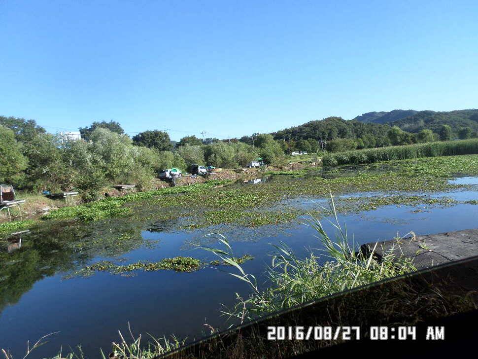 충주 탄금호 낚시조황 (조황조행기 - 낚시점조황)