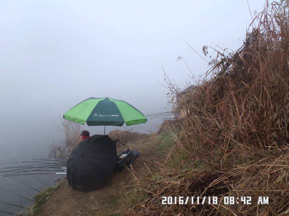 충주 탄금호 낚시조황 (조황조행기 - 낚시점조황)