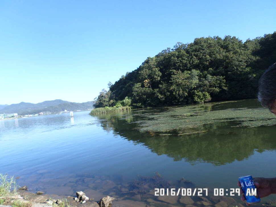 충주 탄금호 낚시조황 (조황조행기 - 낚시점조황)